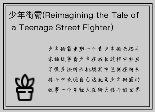 少年街霸(Reimagining the Tale of a Teenage Street Fighter)